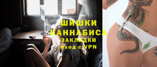 гидра Надым
